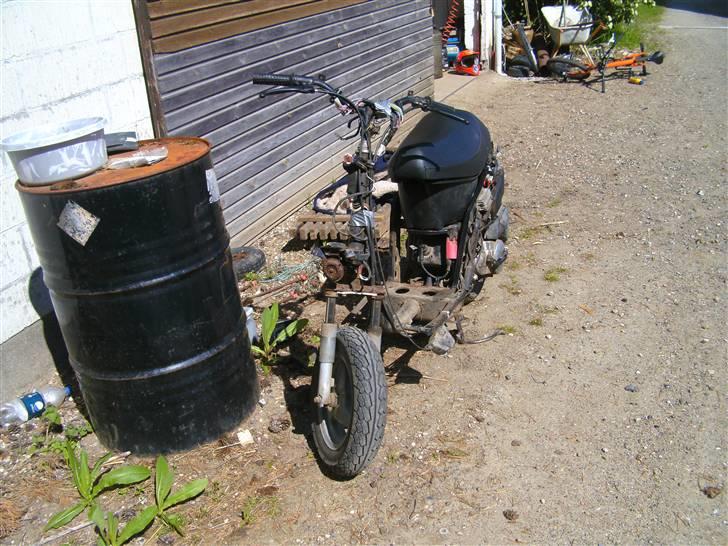 Piaggio zip(død) billede 12