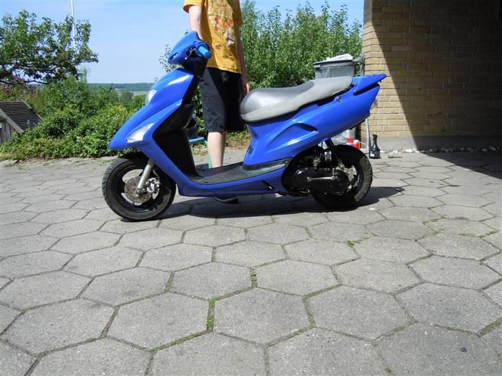 Honda SFX Solgt billede 8