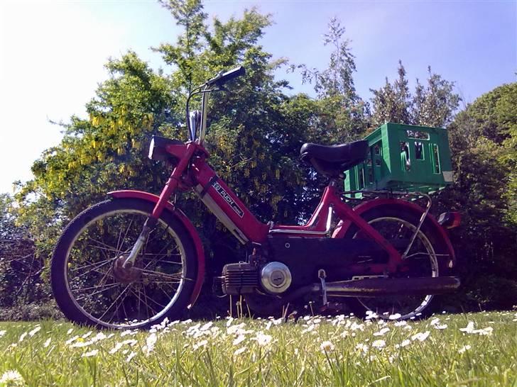 Puch Maxi P 1979 - Byttet billede 2