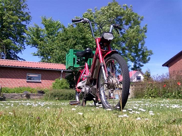 Puch Maxi P 1979 - Byttet billede 3