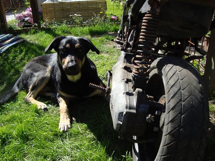 Aprilia SR 50 DD Under Ombygning billede 1