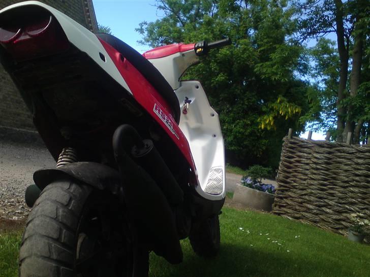 PGO Hot 50 *Til Salg* billede 4