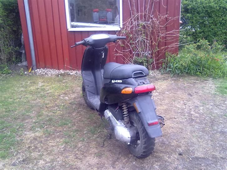 Piaggio typhoon  billede 5
