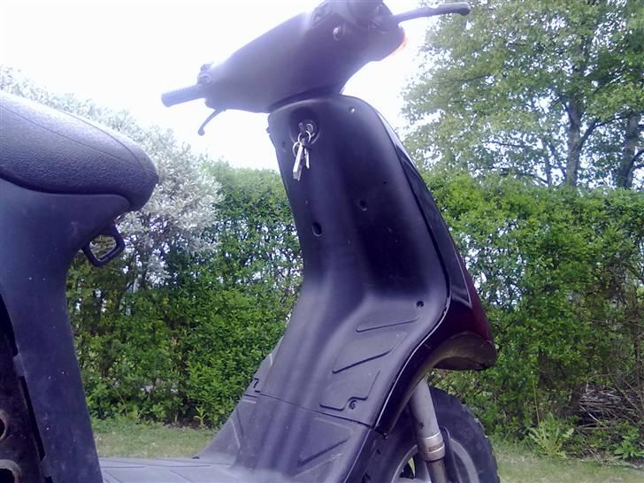 Piaggio typhoon  billede 7