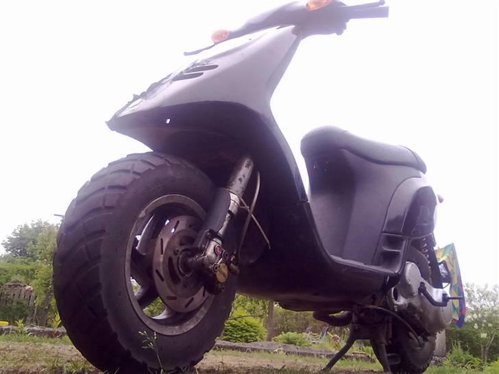 Piaggio typhoon  billede 8