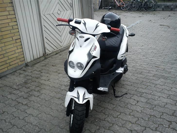 PGO pmx sport (Mammutten) billede 3