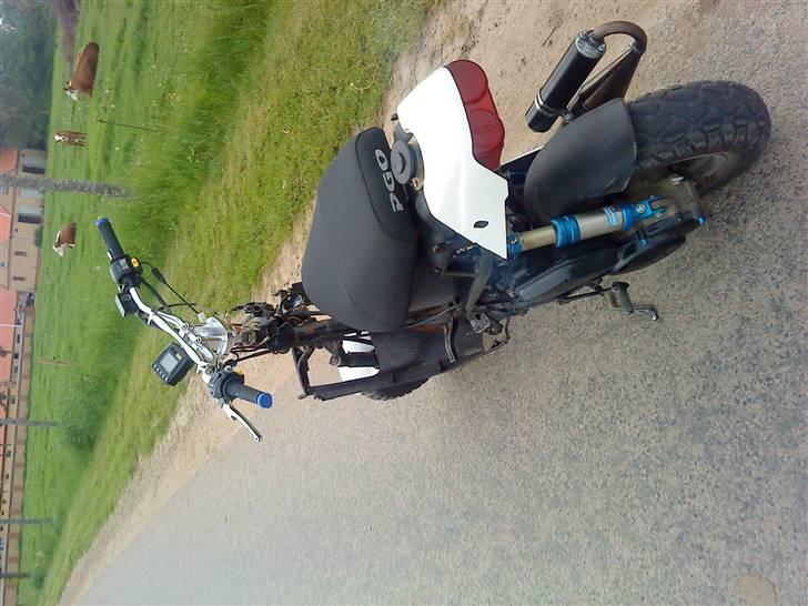 PGO hot 50 / pmx. BYTTET VÆK billede 5