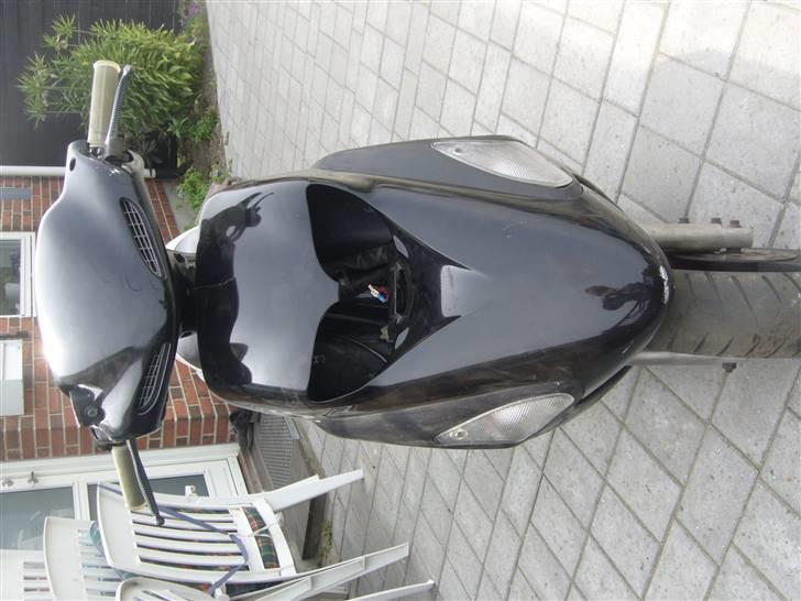 Honda sfx (SOLGT) billede 3