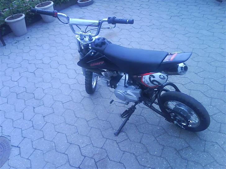 Moff crf 50 stunter billede 3