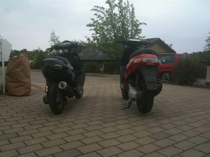 Piaggio Typhoon  billede 3