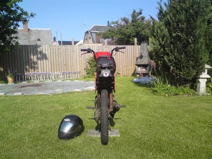 Yamaha SG50 Sting BYTTES billede 6