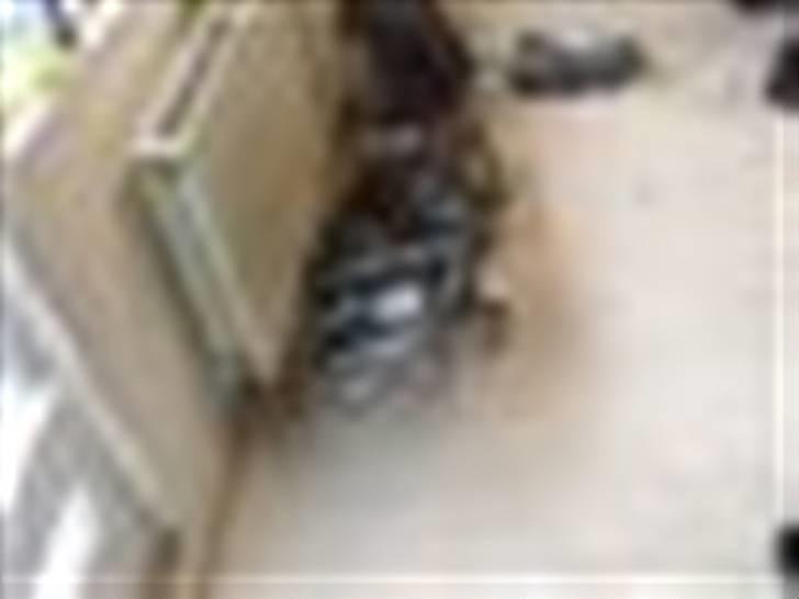 Yamaha slider..SOLGT..... billede 7