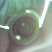 Aprilia     ¤*Kawasaki-Sonic*¤