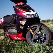 Aprilia ditech