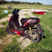 Aprilia ditech