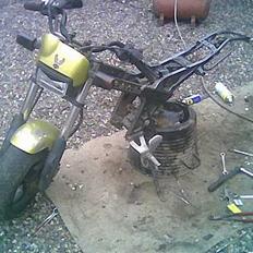 Suzuki Street magic Projekt 