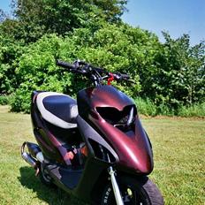 Honda SFX EVO LC solgt