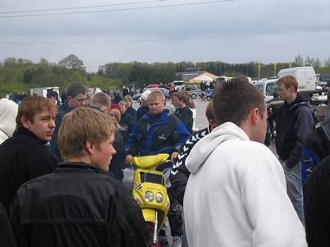 Puch Maxi p  "På Baghjul" billede 15