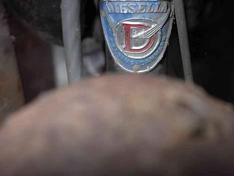 Veteraner Diesella billede 2