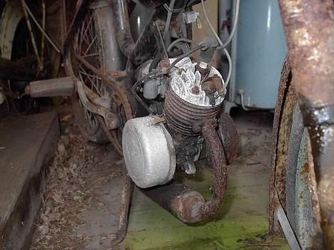 Veteraner Diesella billede 4