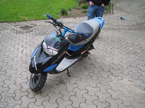 Honda SFX ..:Blue / Black:.. billede 3