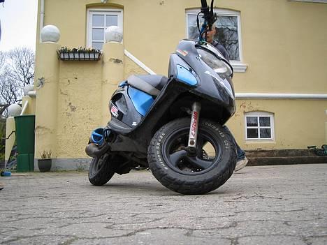 Honda SFX ..:Blue / Black:.. billede 5