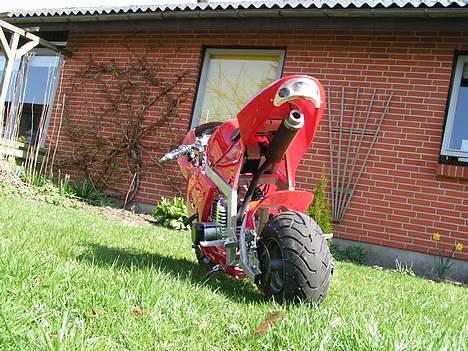 MiniBike NINJA Pocket Bike STJÅLET billede 1