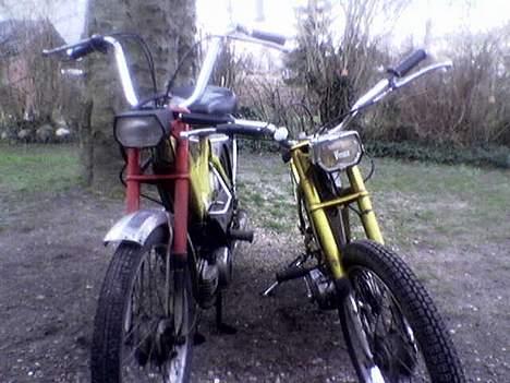 Puch maxi k --project igang-- - lille lowrider i forehold til standard - som den så ud før project billede 5