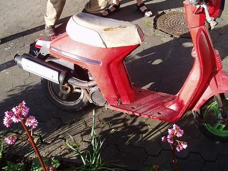 Honda Melody - Solgt billede 3