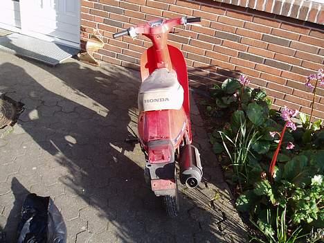 Honda Melody - Solgt billede 4