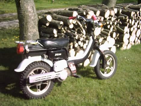 Suzuki fz50 billede 1