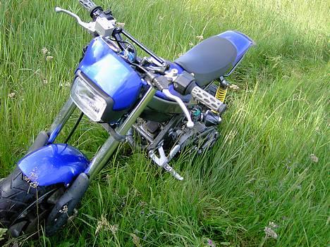 Suzuki Street Magic [Solgt] billede 4