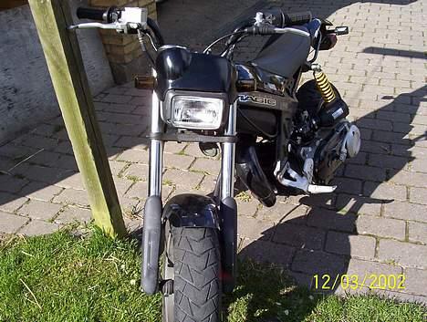 Suzuki Street magic byttet væk billede 8