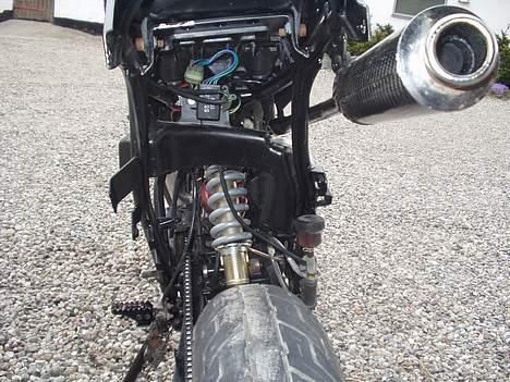 Suzuki SMX -yellow beast- billede 2