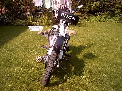 Puch Puch 2 Gear billede 5