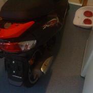 Giantco sprint sport