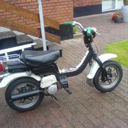 Suzuki Fz 50 (SOLGT)