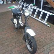 Suzuki Fz 50 (SOLGT)