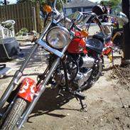 Regal Raptor. Solgt.