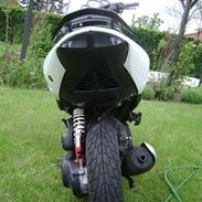 Peugeot Speedfight 2 "(SOLGT!)"