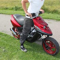 Yamaha bws Polini Evo