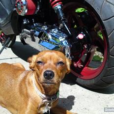 Yamaha bws Polini Evo