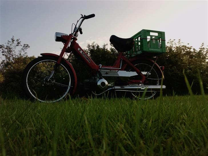 Puch maxi (Solgt) billede 3