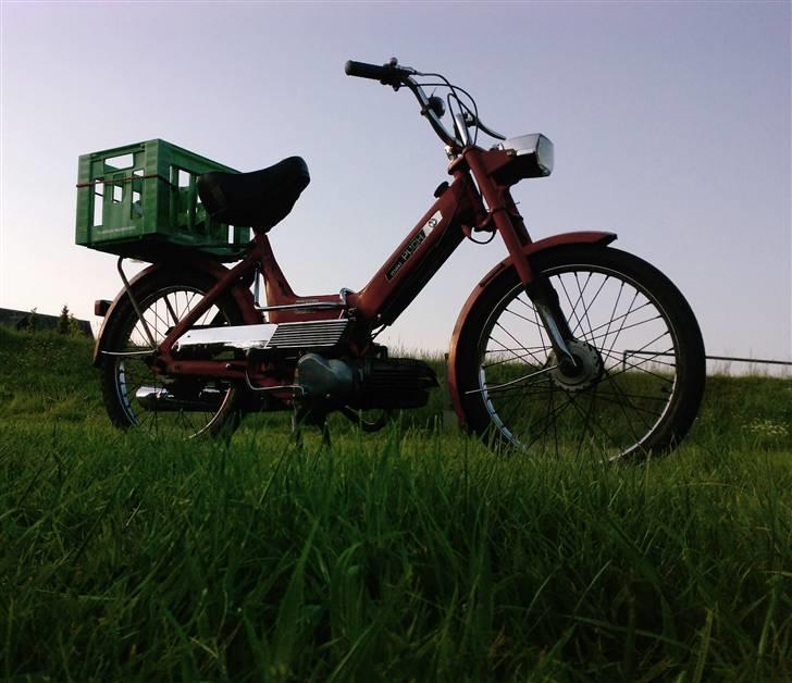 Puch maxi (Solgt) billede 4