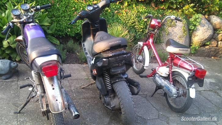 Yamaha FS 1  * T.I.L.S.A.L.G* billede 5