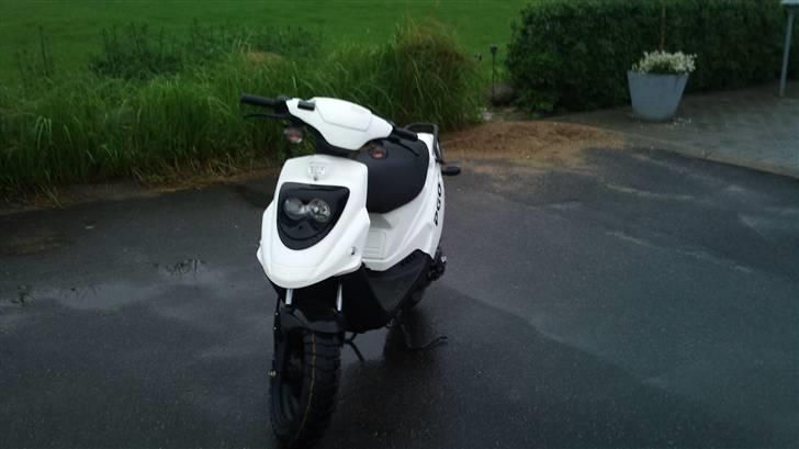 PGO Hot 50 bytte? - min scooter hvor den er standard billede 2