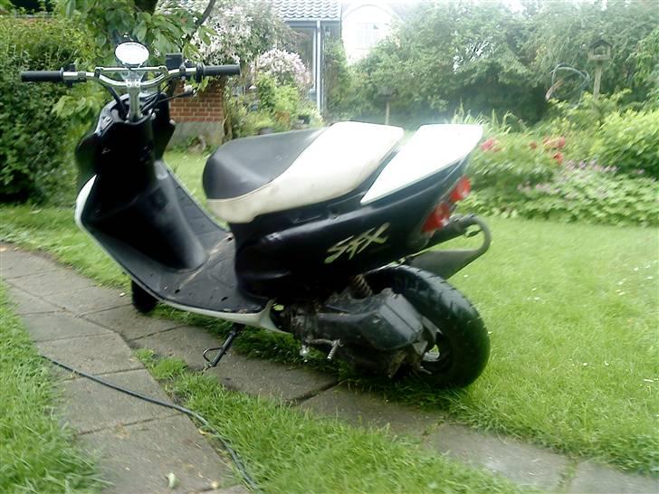 Honda Sfx billede 2
