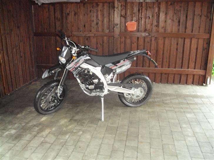 Apollo Orion   aragon SOLGT. billede 1