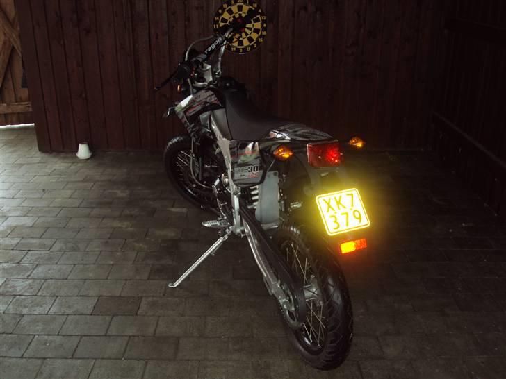 Apollo Orion   aragon SOLGT. billede 6