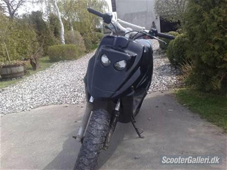 PGO Hot 50  billede 6